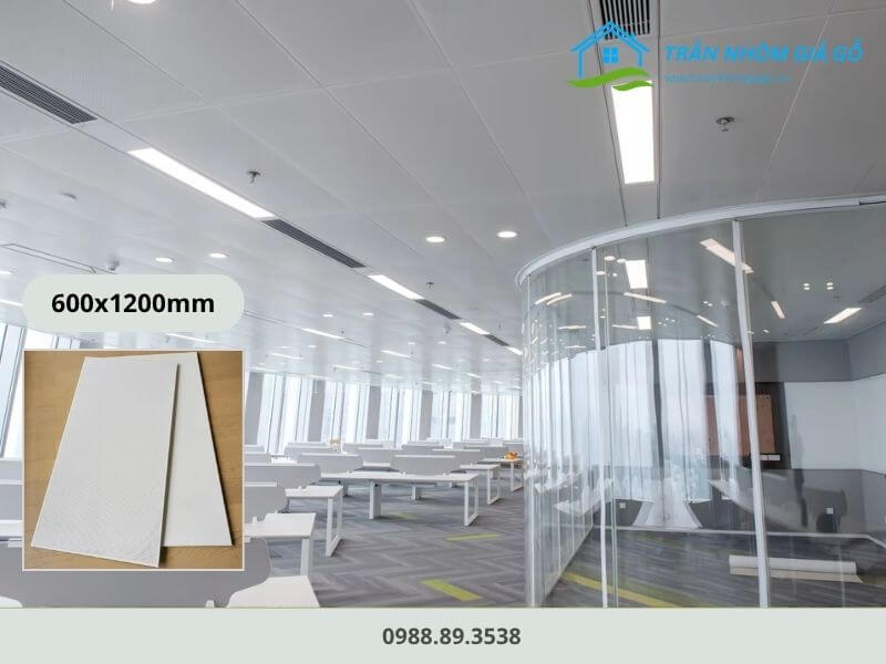 Trần Lay-in 600x1200mm