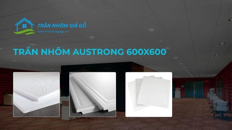 Trần nhôm Austrong 600x600