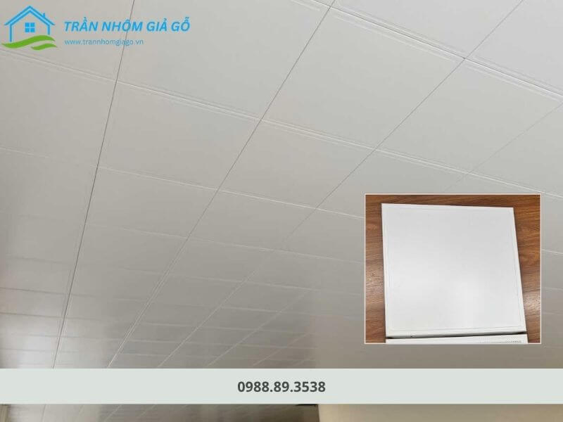 Trần nhôm Austrong clip-in 600x600 trơn