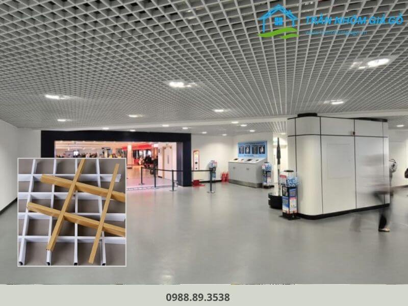 Trần nhôm Caro tiêu âm