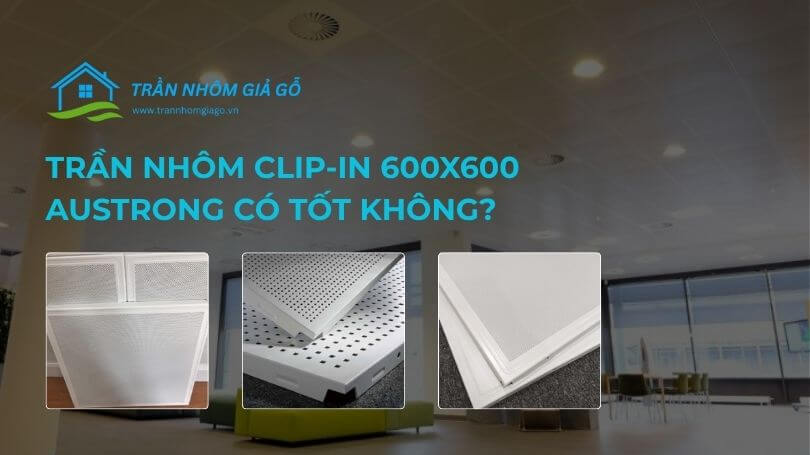 Trần nhôm Clip-in 600x600 Austrong